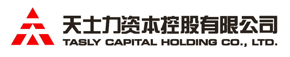 DS视讯厅资本控股有限公司